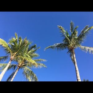 Meet your Posher, Caroline